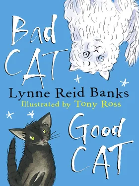 Lynne Banks BAD CAT, GOOD CAT обложка книги