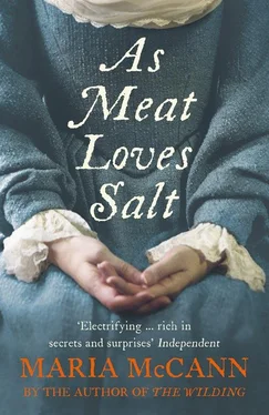 Maria McCann As Meat Loves Salt обложка книги