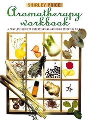 Shirley Price - Aromatherapy Workbook