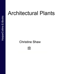 Christine Shaw - Architectural Plants
