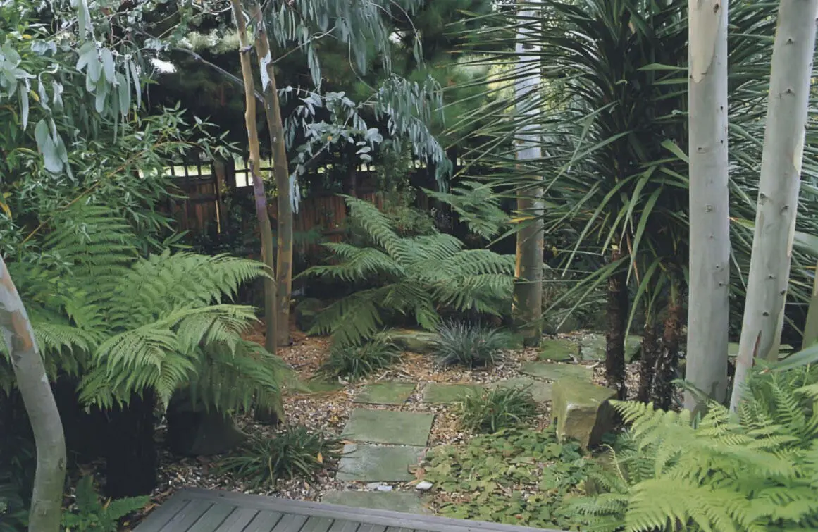 ABOVE This photo shows a perfect choice of plants for a layered effect in a - фото 56