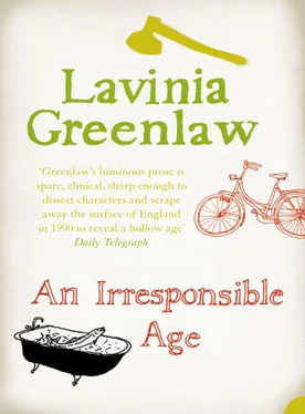 Lavinia Greenlaw An Irresponsible Age обложка книги