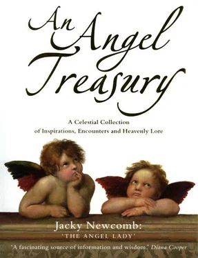 Jacky Newcomb An Angel Treasury: A Celestial Collection of Inspirations, Encounters and Heavenly Lore обложка книги