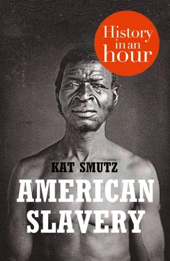 Kat Smutz American Slavery: History in an Hour обложка книги