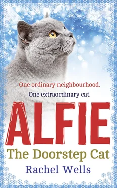 Rachel Wells Alfie the Doorstep Cat обложка книги