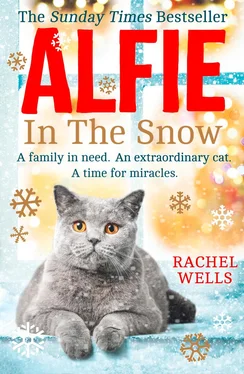 Rachel Wells Alfie in the Snow обложка книги