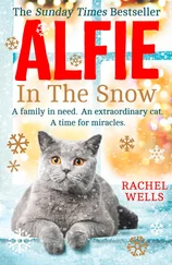 Rachel Wells - Alfie in the Snow