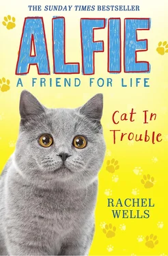 Rachel Wells Alfie Cat In Trouble обложка книги