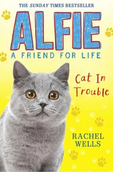 Rachel Wells - Alfie Cat In Trouble