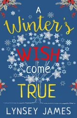 Lynsey James - A Winter’s Wish Come True