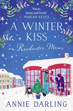 Annie Darling A Winter Kiss on Rochester Mews обложка книги