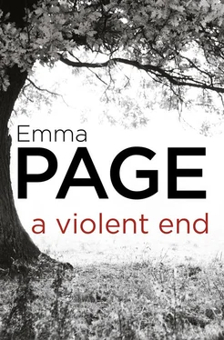 Emma Page A Violent End обложка книги