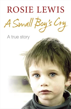 Rosie Lewis A Small Boy’s Cry обложка книги