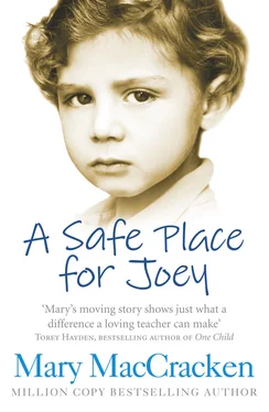 Mary MacCracken A Safe Place for Joey обложка книги