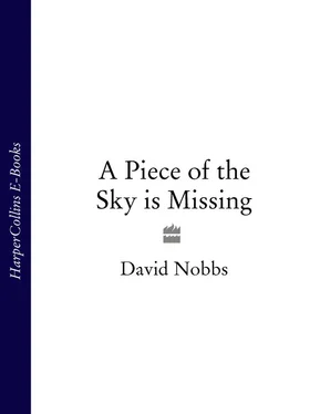 David Nobbs A Piece of the Sky is Missing обложка книги