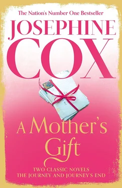 Josephine Cox A Mother’s Gift: Two Classic Novels обложка книги