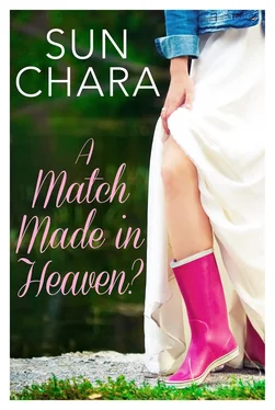 Sun Chara A Match Made in Heaven? обложка книги