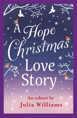 Julia Williams - A Hope Christmas Love Story