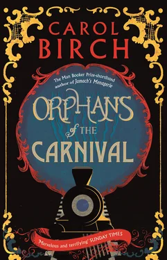 Carol Birch Orphans of the Carnival обложка книги