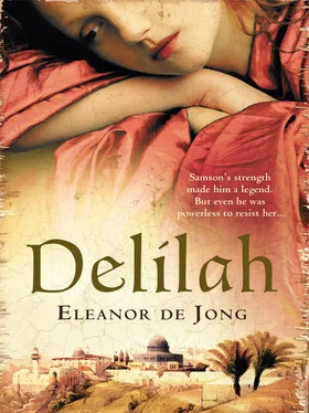 Eleanor Jong Delilah обложка книги