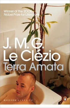 J. M. Le Clézio Terra Amata обложка книги