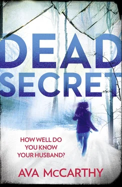 Ava McCarthy Dead Secret обложка книги