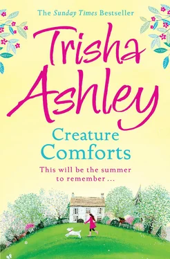 Trisha Ashley Creature Comforts обложка книги