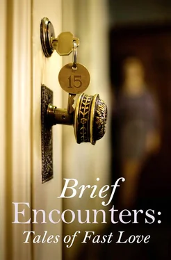 Various Various Brief Encounters обложка книги