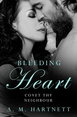 AM Hartnett Bleeding Heart обложка книги
