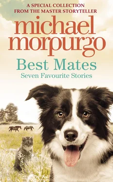Michael Morpurgo Best Mates обложка книги