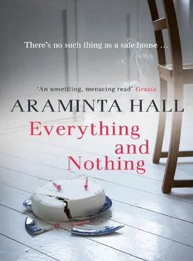 Araminta Hall Everything and Nothing обложка книги