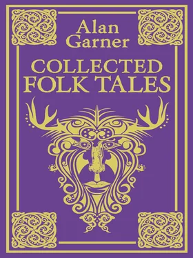 Alan Garner Collected Folk Tales обложка книги