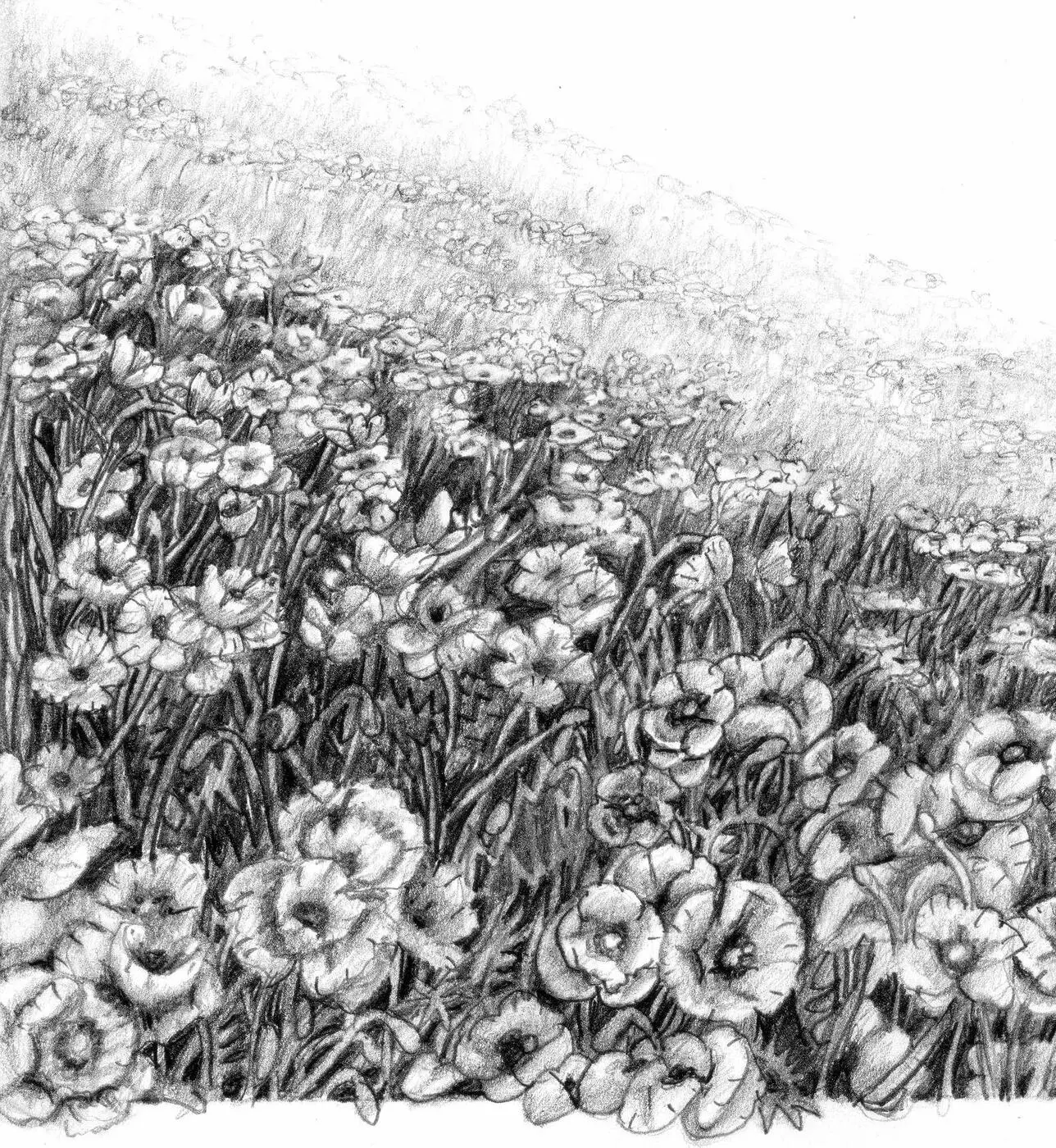 Stasha Chapter Nine Million After Million Auschwitz never forgot me I begged - фото 2