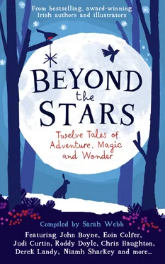Sarah Webb Beyond The Stars обложка книги