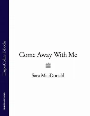 Sara MacDonald Come Away With Me обложка книги
