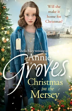 Annie Groves Christmas on the Mersey обложка книги