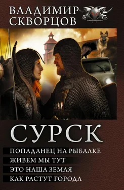 Владимир Скворцов Сурск обложка книги