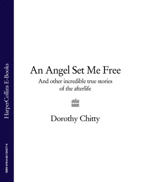 Dorothy Chitty An Angel Set Me Free: And other incredible true stories of the afterlife обложка книги
