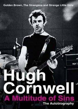 Hugh Cornwell A Multitude of Sins: Golden Brown, The Stranglers and Strange Little Girls обложка книги