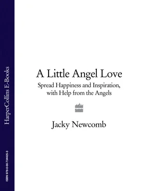 Jacky Newcomb A Little Angel Love: Spread Happiness and Inspiration, with Help from the Angels обложка книги
