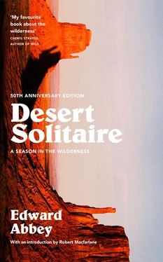 Robert MacFarlane Desert Solitaire: A Season in the Wilderness обложка книги
