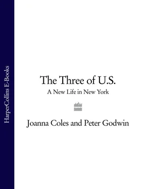 Peter Godwin The Three of U.S.: A New Life in New York обложка книги