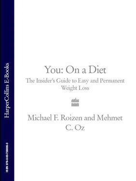 Michael Roizen You: On a Diet: The Insider’s Guide to Easy and Permanent Weight Loss обложка книги