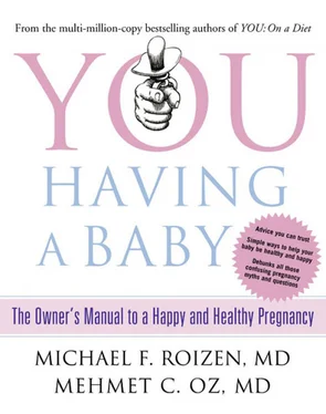 Michael Roizen You: Having a Baby: The Owner’s Manual to a Happy and Healthy Pregnancy обложка книги