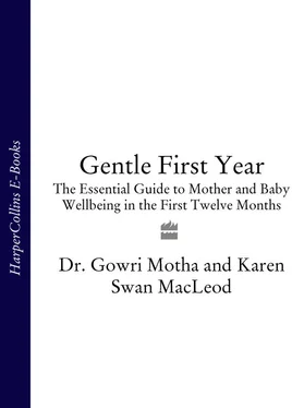 Karen MacLeod Gentle First Year: The Essential Guide to Mother and Baby Wellbeing in the First Twelve Months обложка книги