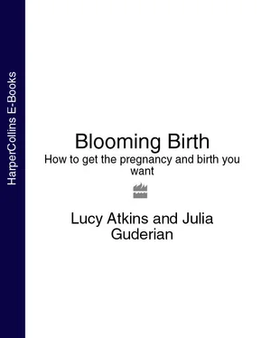 Lucy Atkins Blooming Birth: How to get the pregnancy and birth you want обложка книги
