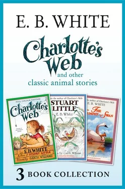 Garth Williams Charlotte’s Web and other classic animal stories: Charlotte’s Web, The Trumpet of the Swan, Stuart Little обложка книги