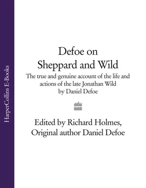 Daniel Defoe Defoe on Sheppard and Wild: The True and Genuine Account of the Life and Actions of the Late Jonathan Wild by Daniel Defoe обложка книги