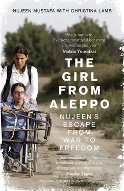 Christina Lamb The Girl From Aleppo: Nujeen’s Escape From War to Freedom обложка книги
