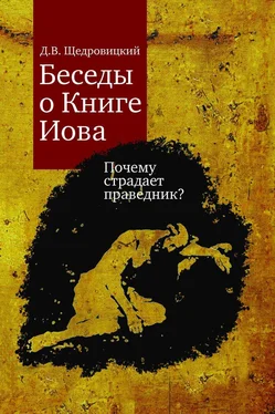 Дмитрий Щедровицкий Беседы о Книге Иова. Почему страдает праведник? обложка книги